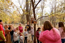 Новость