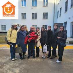 Новость