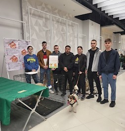 Новость